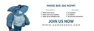 CamSharks Webcam Model Jobs